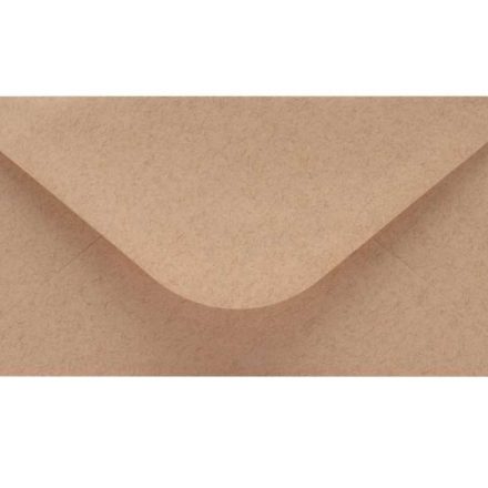 DL-Umschläge für Bio-Recycling 120g 50 Stück, braun