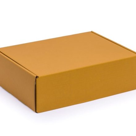 Stanzkarton – Schneidkarton 330x250x100 gold-Burstin Versandkarton