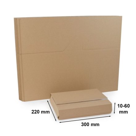 MERLIN Kartons für Bücher und Sendungen 300x220 mm 10 Stück