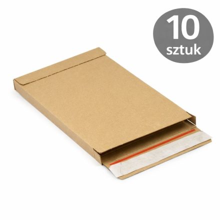 Flatbox F01 160x20x250 mm für das XS-Paket 10 Stück