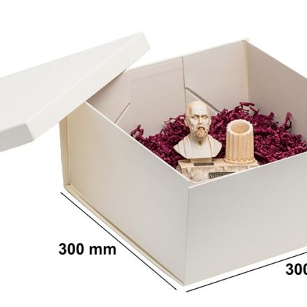 NEOPAK Verpackungsprodukt