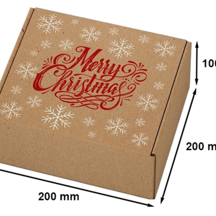 Karton Weihnachten Fasson Box 200x200x100mm MC Schneeflocken F427