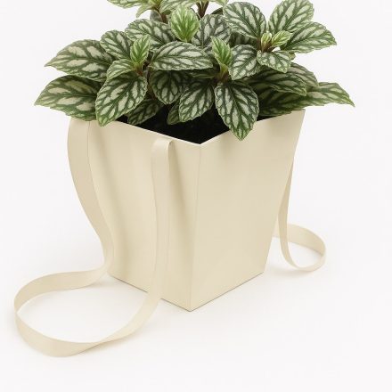 NEOPAK Verpackungsprodukt