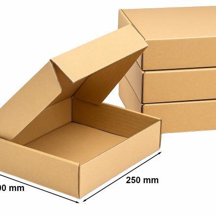 Stanzkartonpaket 250x200x50mm F426 10 Stück