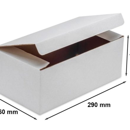 Stanzkarton F215 290x160x110 mm weiß InPost Paketfachgröße B