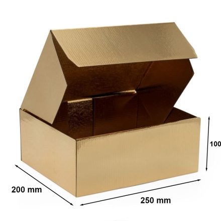 Stanzkarton Stanzschachtel 250x200x100 mm gold für Geschenke