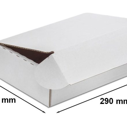 Stanzkarton Stanzschachtel 290x185x70 mm F427 weiß