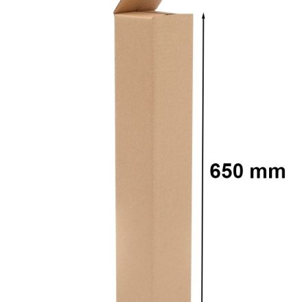 Stanzkarton – Schneidkarton A1 für Plakate 650x120x120 mm selbstverschließend