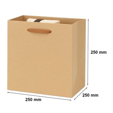 Papiertüte kraft mit Griff 25x25x25 cm 210 g/m2 Q3 für Geschenke