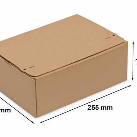 Automatische Box mit Klebestreifen 255x180x160 mm F703 InPost B