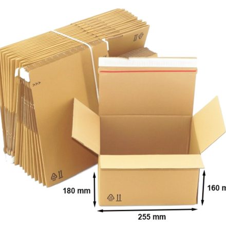 Paket - Karton gestanzt. 255x180x160mm - 10 Stück