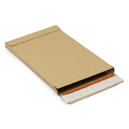 Flatbox F01 160x20x250 mm XS-Packung