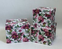 NEOPAK Verpackungsprodukt